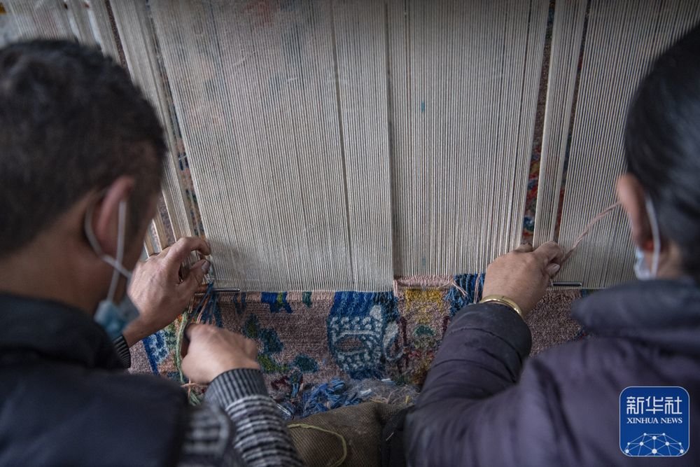 ↑在江孜县地毯厂，工人们编织卡垫（3月19日摄）。