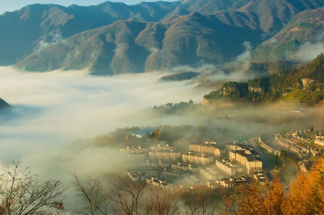 神农架木鱼镇龙降坪