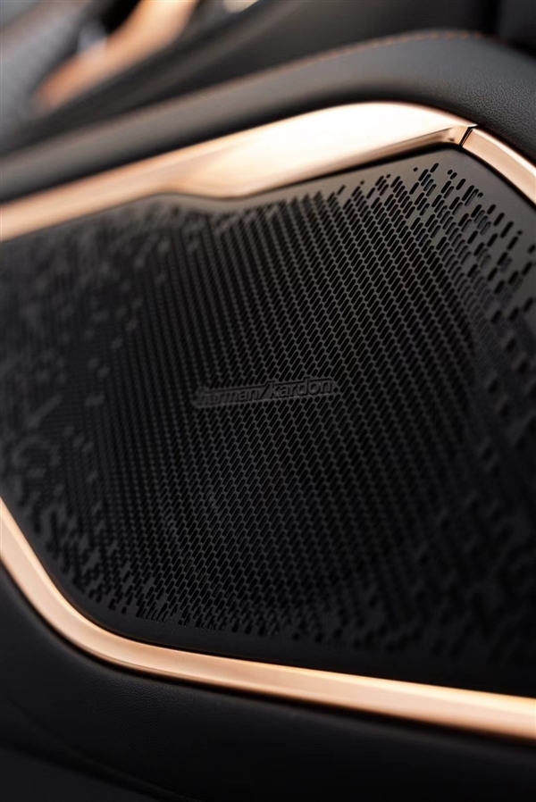 前脸独一无二辨识度超强!魏牌高山共创版官图:国产豪华MPV添强手