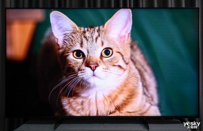 旗舰Mini LED电视守门员 85英寸TCL Q10H评测