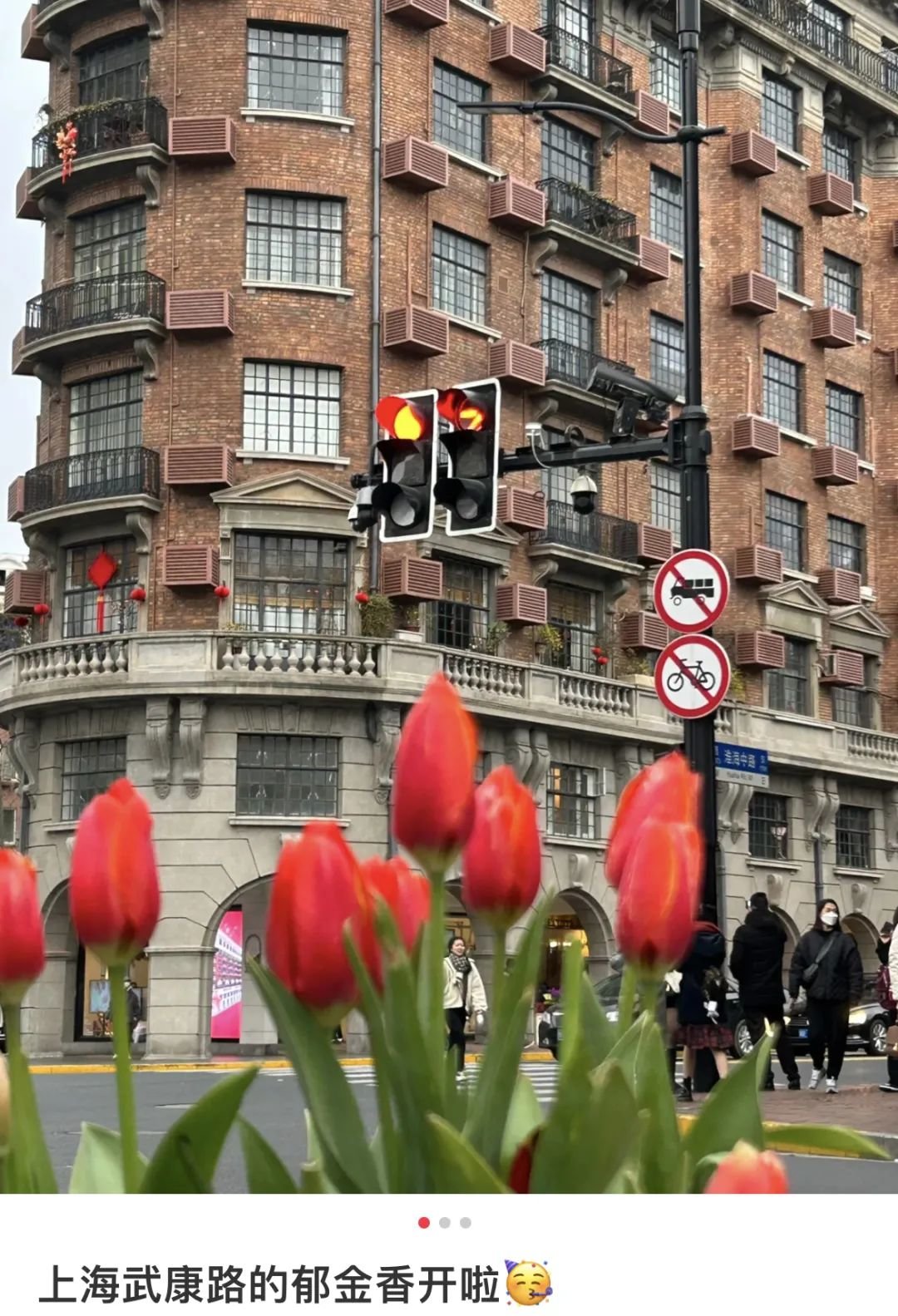 上百人排队打卡上海武康路郁金香 网友:这是“诈骗”!