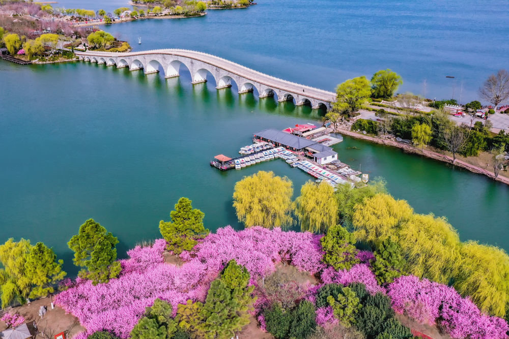 2023年3月16日,江苏省连云港市东海县西双湖国家湿地公园的梅花诫入