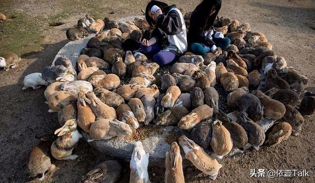 各国不吃的食物:韩国人不吃香菜,俄罗斯人不吃海参,中国人呢?