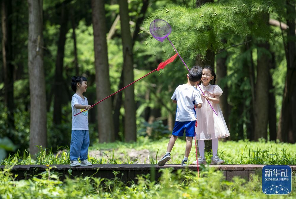 7月9日,小朋友在江苏省兴化市里下河国家湿地公园捉蝴蝶