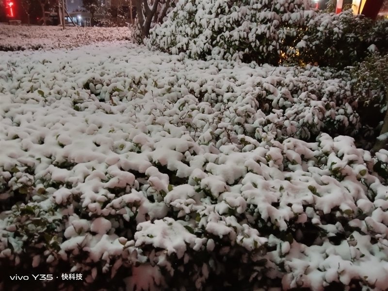 长续航兼顾大内存!vivo Y35评测:解锁千元级新体验