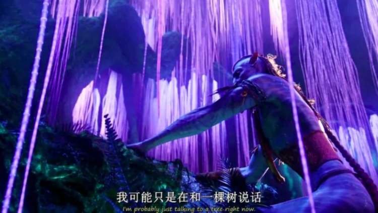 绝了，他们抱树治内耗_凤凰网