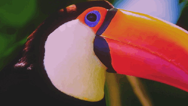 色彩亮度我都要!Vidda C1S评测:三色激光画质优秀 同亮度碾压单激光