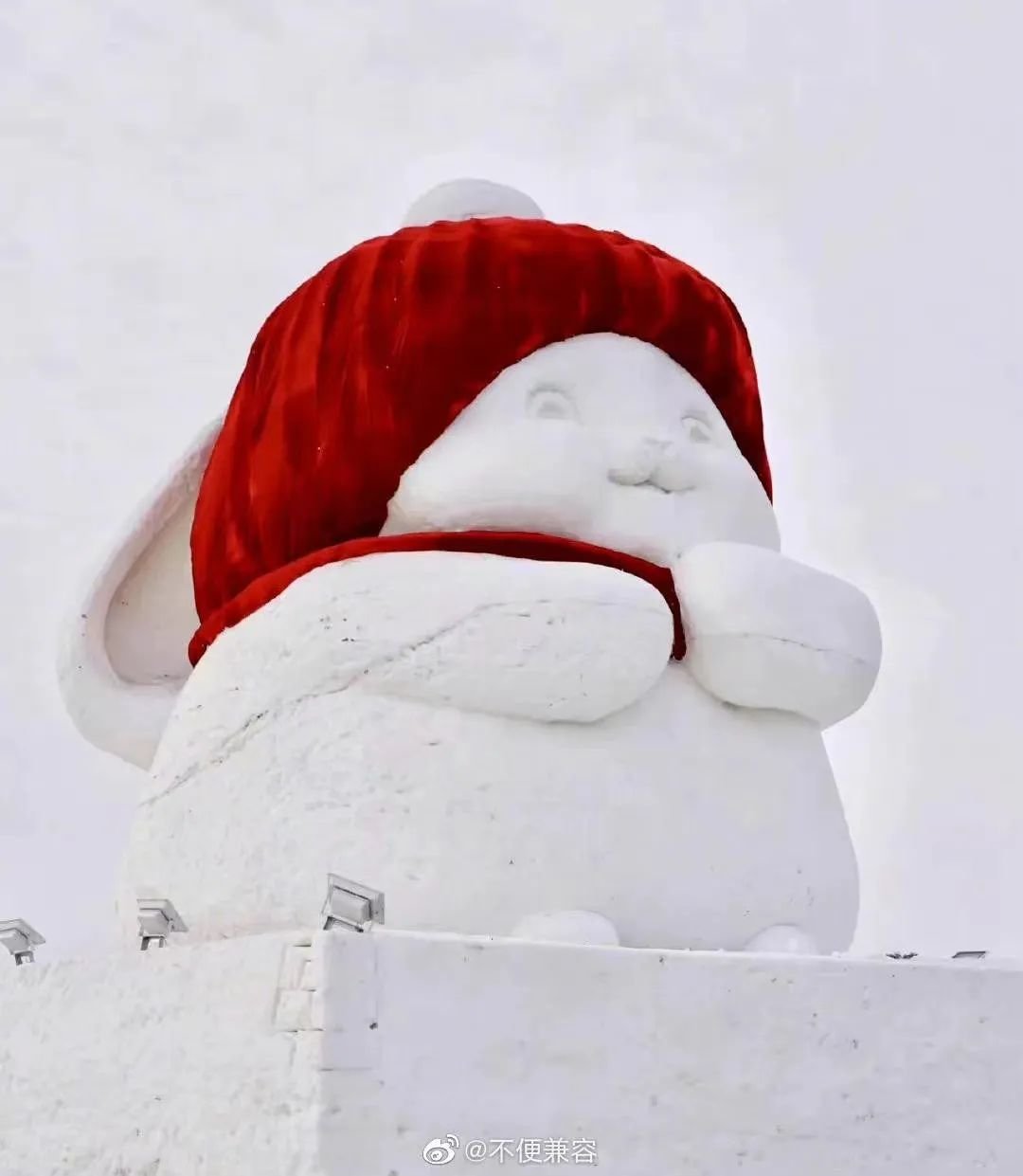 哈尔滨的兔兔。/微博用户@不便兼容