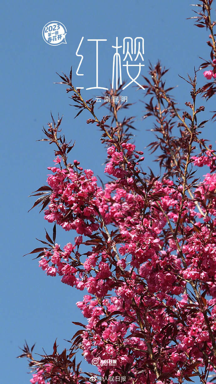 7.jpg?x-oss-process=style/w10