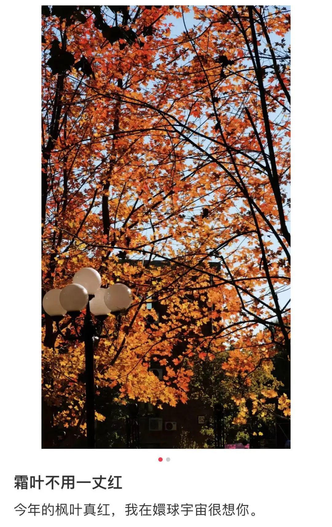 孙俪带领热依扎，如今「血洗」内娱_凤凰网, image size:1080x1711