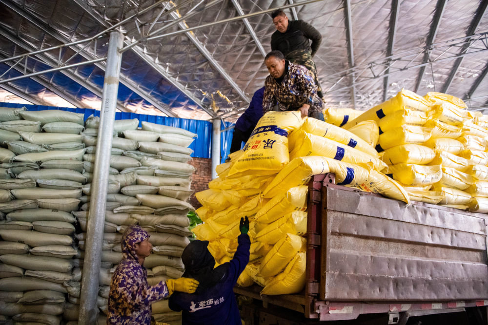 2月3日，工作人员在湖南省永州市祁阳市黎家坪镇供销惠农服务中心化肥储备库卸货。新华社记者 陈思汗 摄