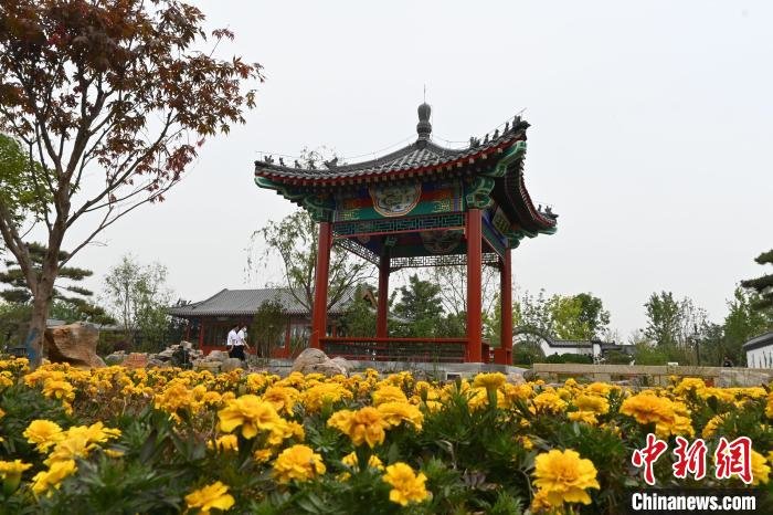 图为游客在沧州园博会参观。 翟羽佳 摄