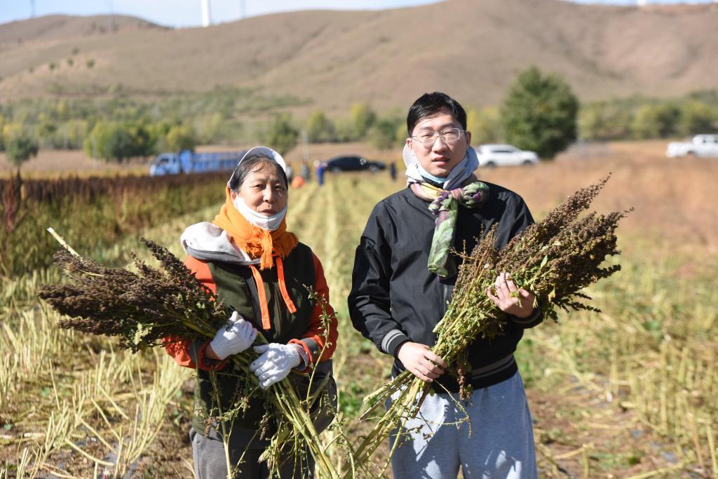 10月1日，在沽源县白土窑乡小西沟村，当地种植户王秀梅和她的儿子赵擎宇抱着收获的红藜麦合影。新华社记者 黄晓勇 摄