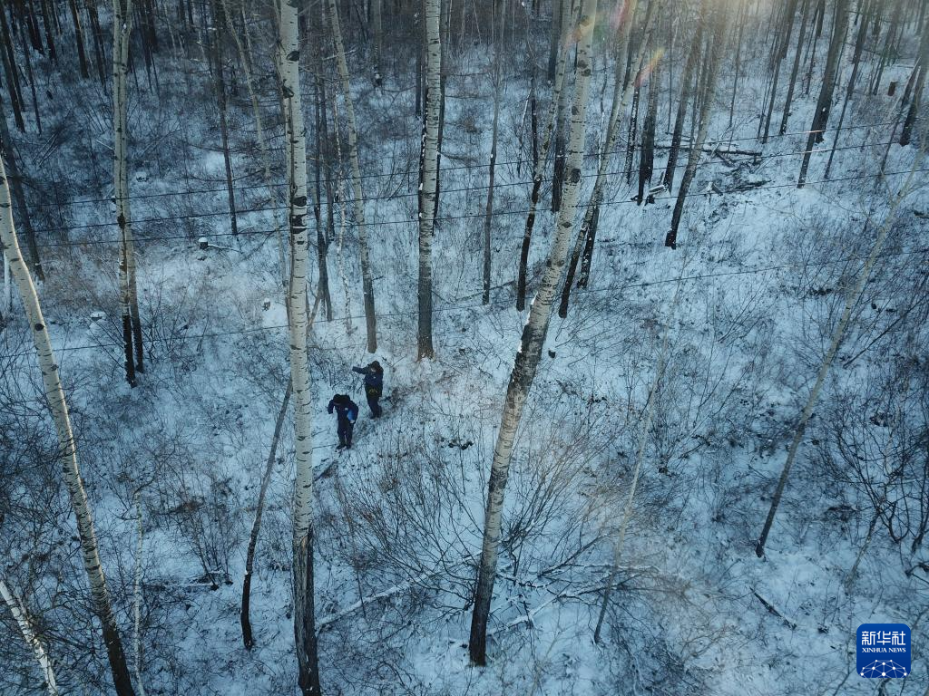 12月23日，在黑龙江省漠河市，电力线路设备运维人员在北极村附近的山林中巡线（无人机照片）。新华社图片