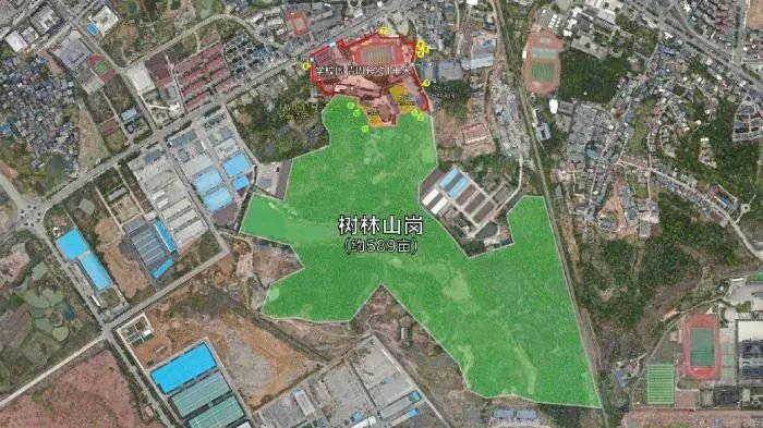 胡锡进:胡鑫宇失踪案 只有彻底的公开透明才能消除各种质疑