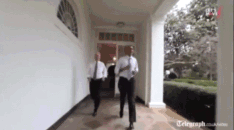 拜登和奥巴马一起在白宫里锻炼身体的宣传视频|图源The Telegraph
