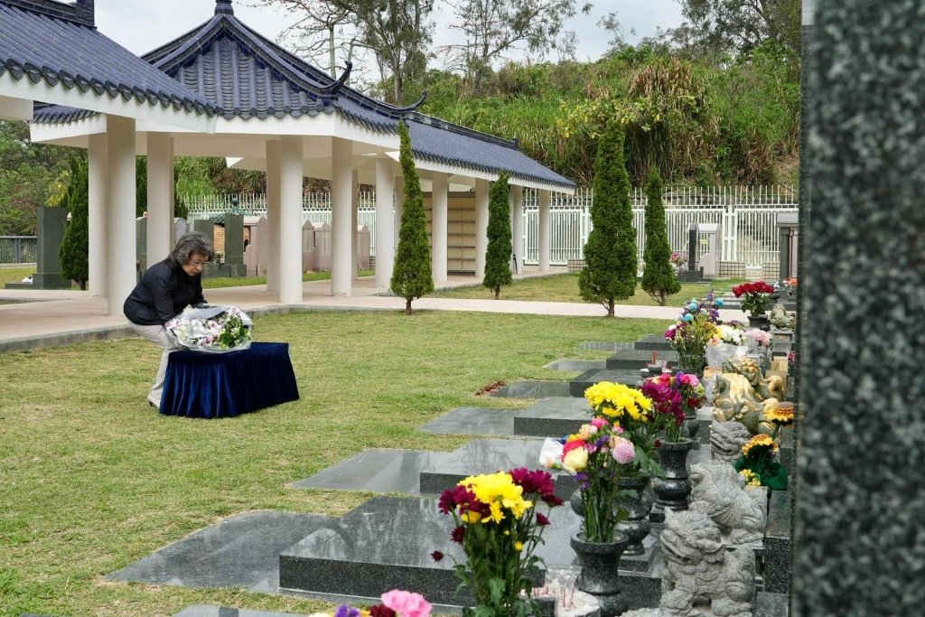 339251091_254203016971651_7880884919851560542_n