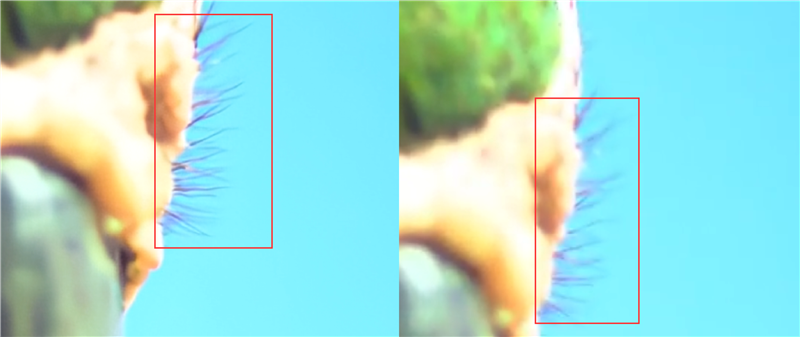 纤薄身材也能满血发挥!耕升RTX 4070踏雪评测:2K游戏通吃的高颜值显卡