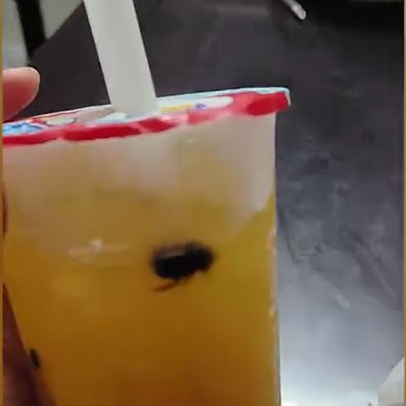 ▲女子称在蜜雪冰城门店购买饮品喝出一只蟑螂。截图来自社交媒体