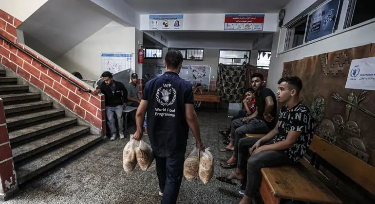 © 粮食署/Ali Jadallah | 粮食署在近东救济工程处在加沙开设的一所学校分发粮食,该学校是紧急情况下的指定庇护所。