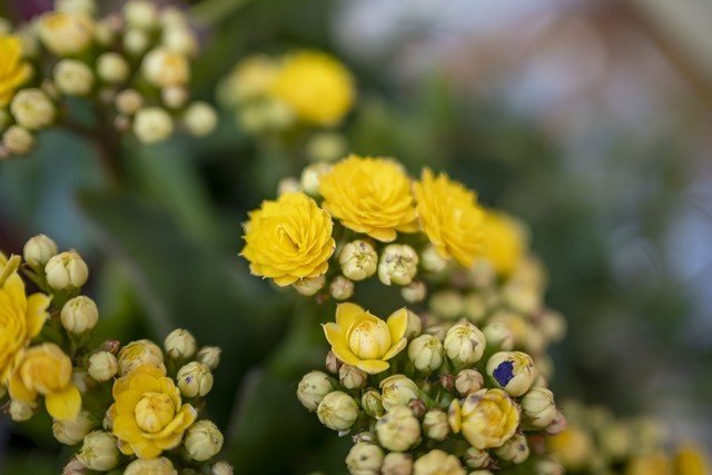 【有料评测】尼克尔Z DX 24mm f/1.7评测:轻量化大光圈定焦镜头