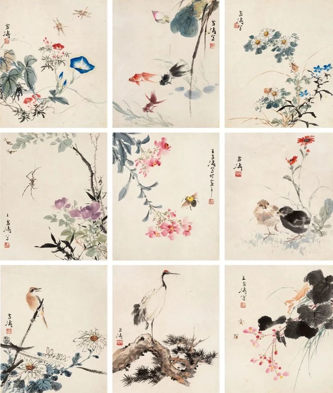 王雪涛：花卉虫鸟册