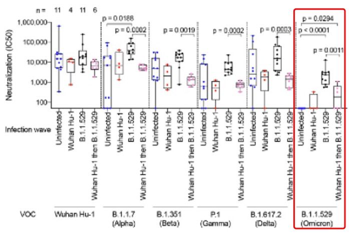 图源:参考资料 3