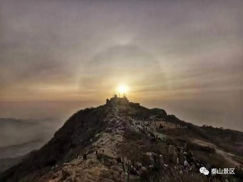 1月23日清晨,泰山之巅再现冰晕奇观。“泰山景区”微信公众号图