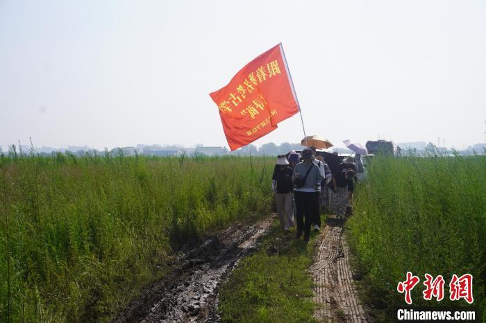 循迹商代中期都城：这座三千多年前的城市有哪些秘密？