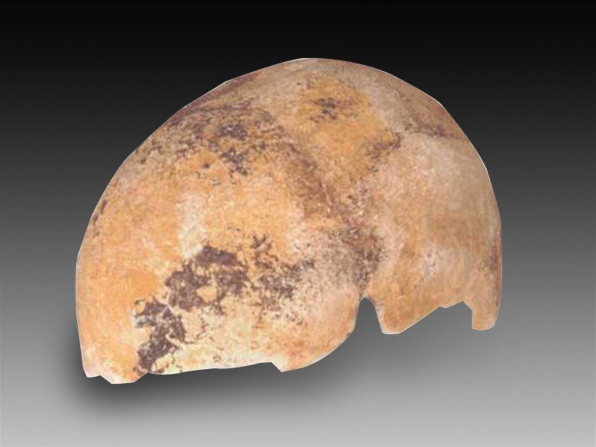 “汉阳人”头盖骨化石