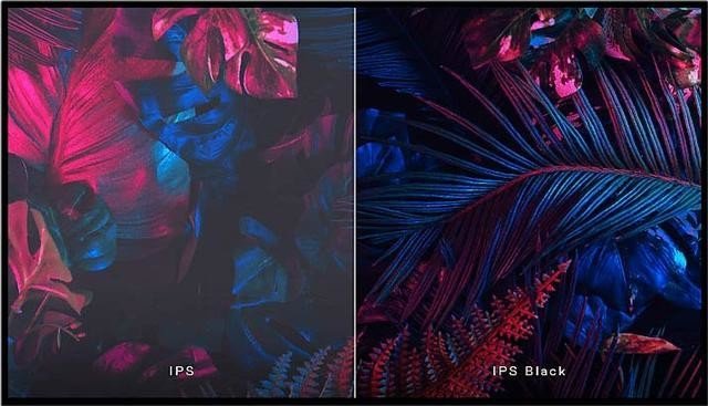 IPS家族再填新势力 IPS BLACK到底是什么?
