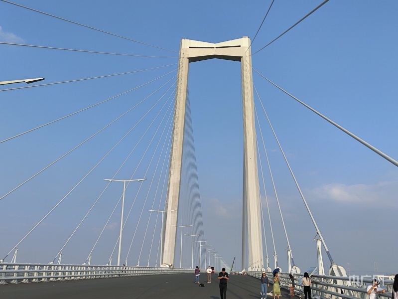 深中通道（央广网见习记者 晁海娟 摄）