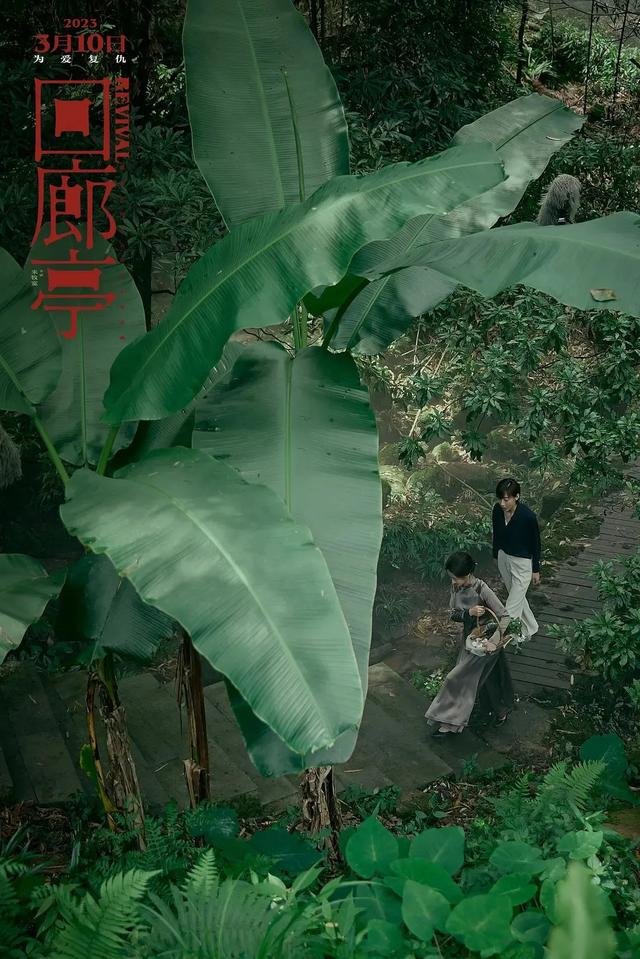 电影《回廊亭》剧照