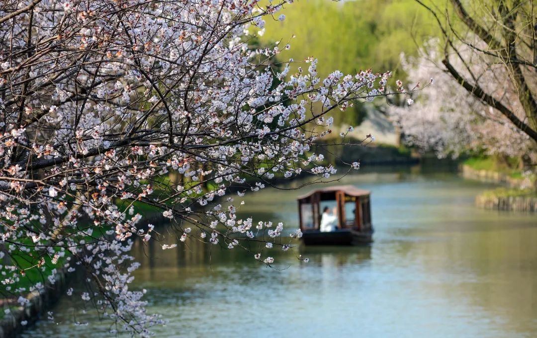 圆桌｜江南古镇同里论坛：小桥流水，如何面向未来