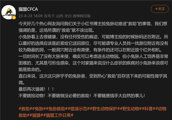 网友称野外救了兔狲幼崽 大V科普:不要瞎捡 不要插手大自然