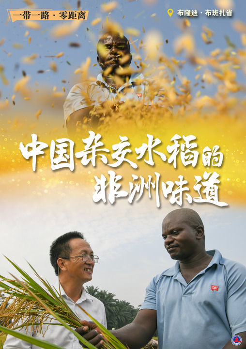 一带一路·零距离丨中国杂交水稻的非洲味道