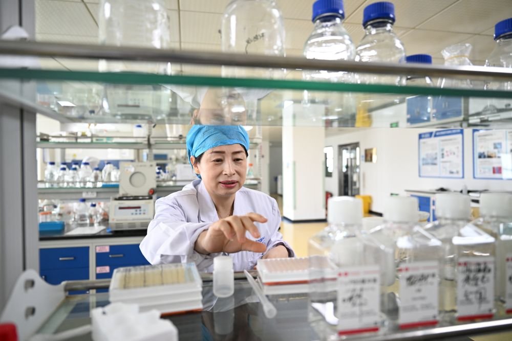 研究人员在天津瑞普生物的实验室内工作。新华社记者 赵子硕 摄
