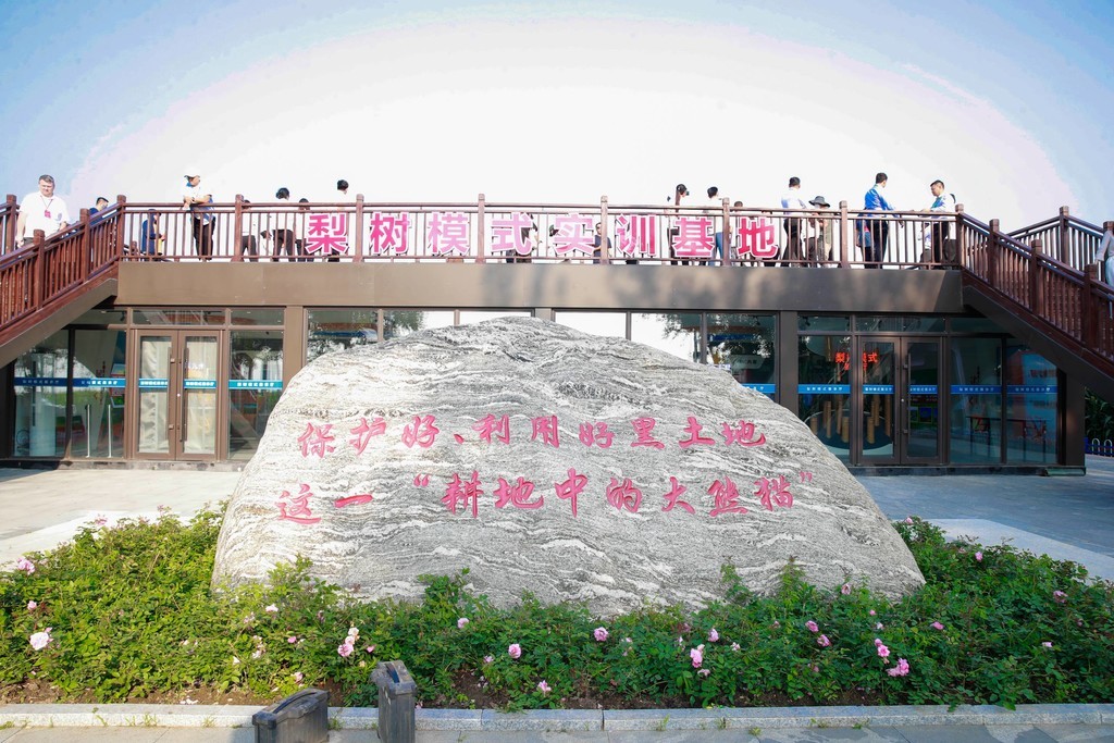 这是7月18日拍摄的四平市国家百万亩绿色食品原料(玉米)标准化生产基地核心示范区。