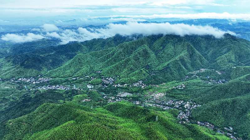 莫干山仙潭村景区图片