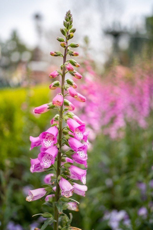 【有料评测】永诺YN35mm F2Z DF DSM评测:1799元国产全画幅自动对焦镜头