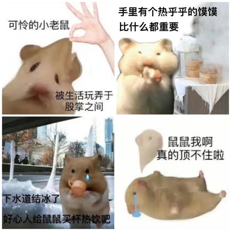 别总盯着猫猫狗狗，小宠物用品出海也是门大生意1