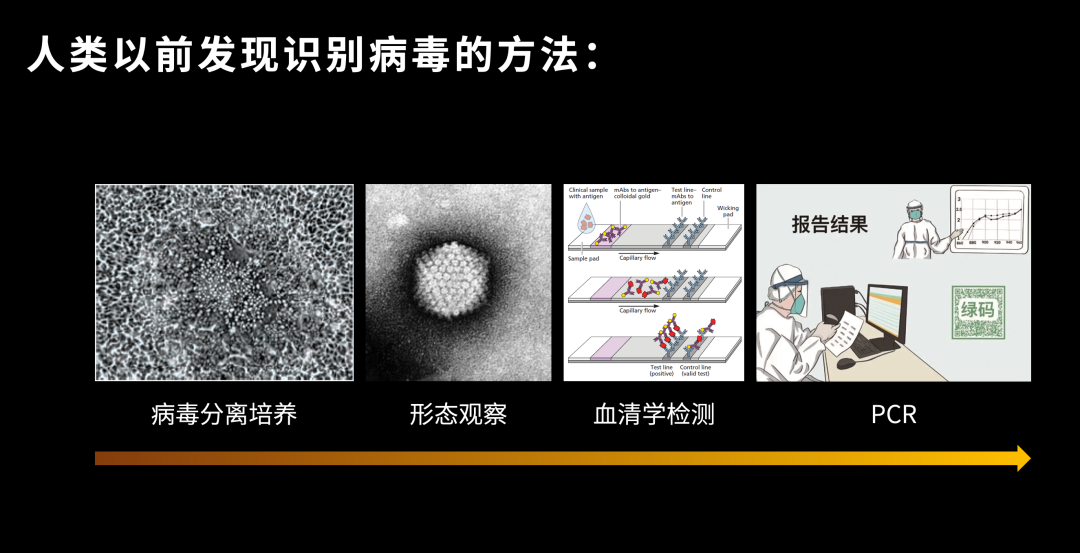 病毒学家张永振:未来5年还会不会出现新发突发传染病?可能规模不会像新冠这么大,但出现是必然