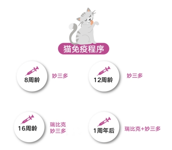 还在以为国内没有国产猫三联?硕腾妙三多国产疫苗早已上市_凤凰网区域_凤凰网