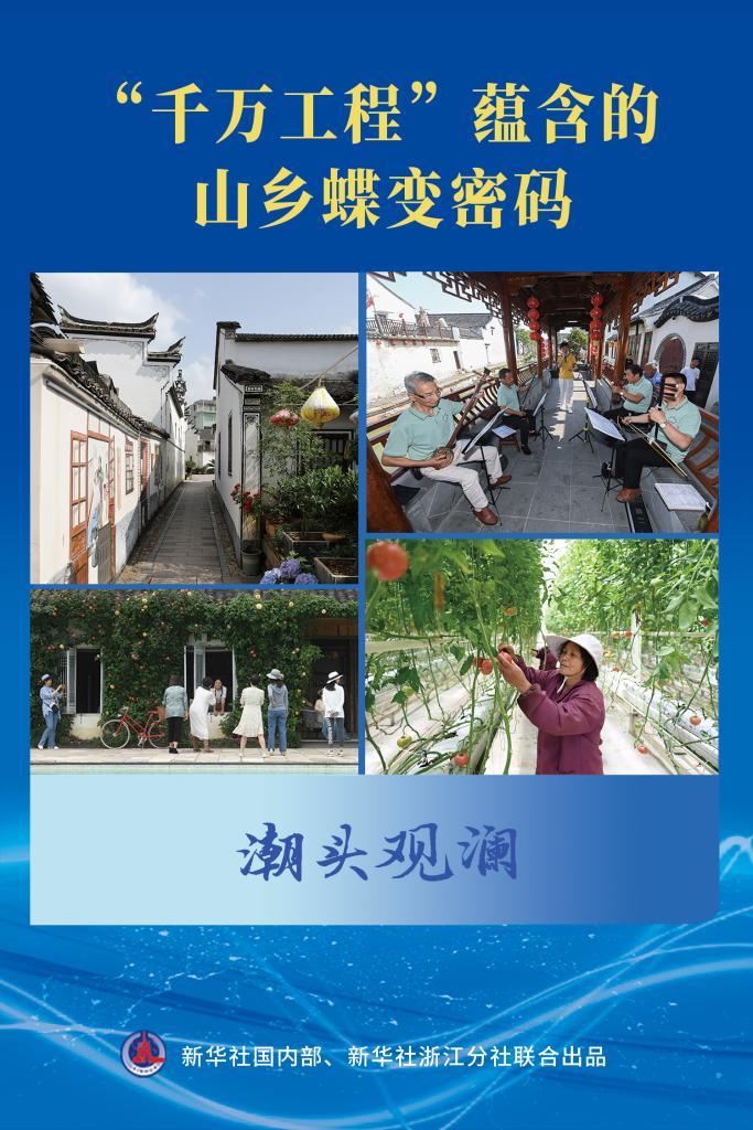 潮头观澜|“千万工程”蕴含的山乡蝶变密码