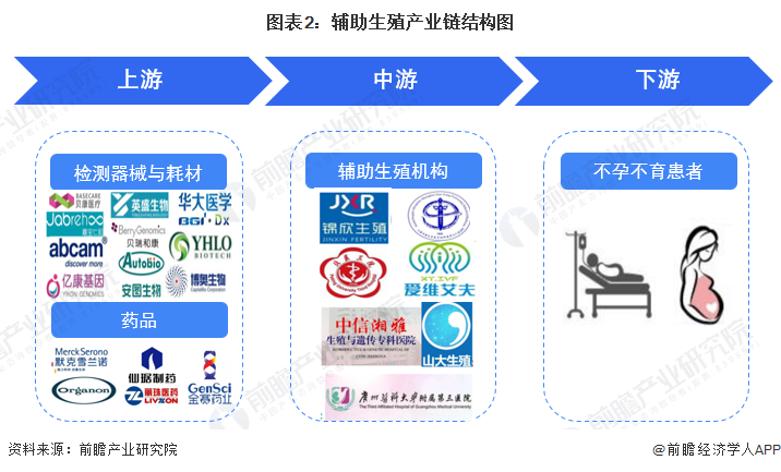 图表2:辅助生殖产业链结构图