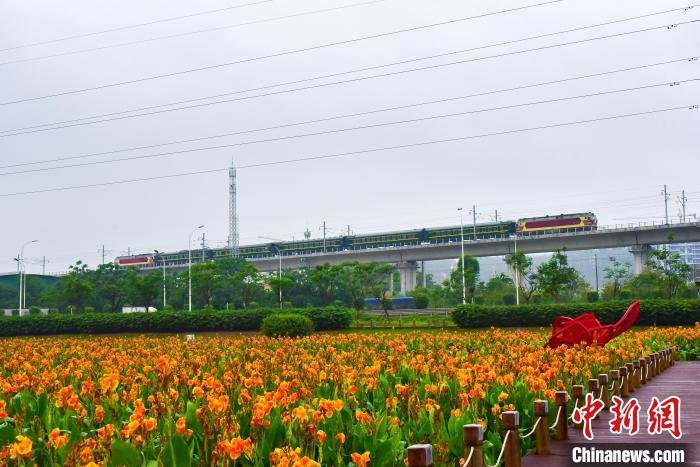 图为综合检测列车驶过南宁市那考河湿地公园。　陈泉任 摄