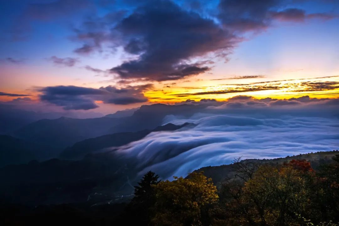 跟着总书记看中国|华中屋脊 绿色奇迹