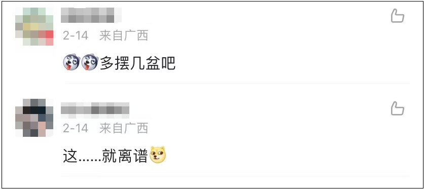 上百人排队打卡上海武康路郁金香 网友:这是“诈骗”!