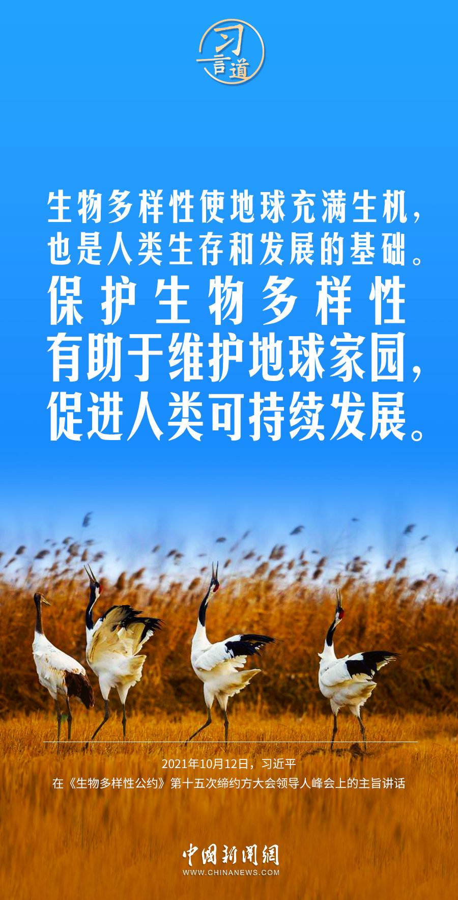A7693676EEDB4F3874A4CFFB7D2C01F175B66D4E_size964_w900_h1767.jpg