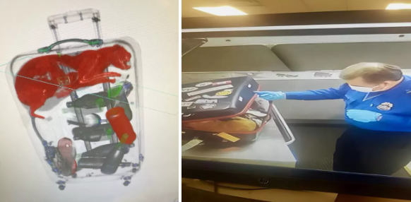 图源:美国联邦运输安全管理局